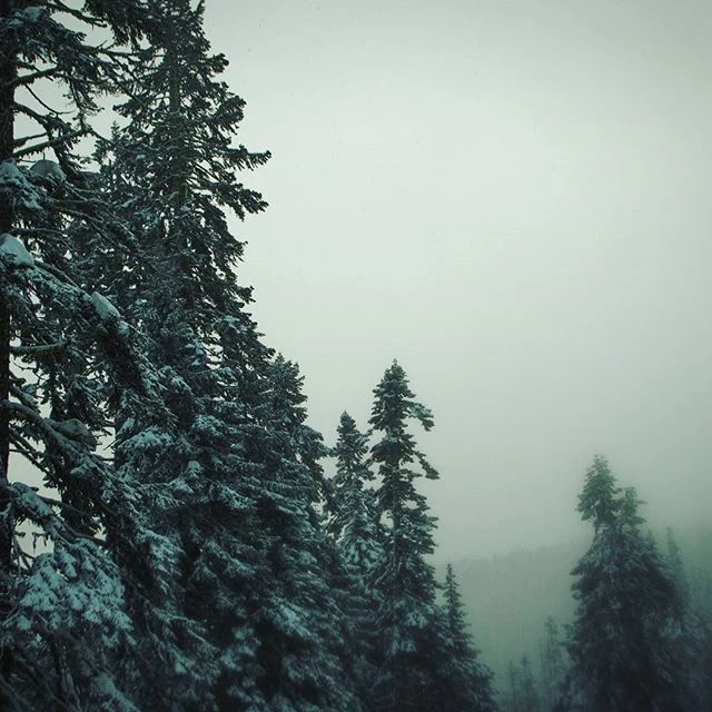 12599220_482201181951764_112790483_n.jpg