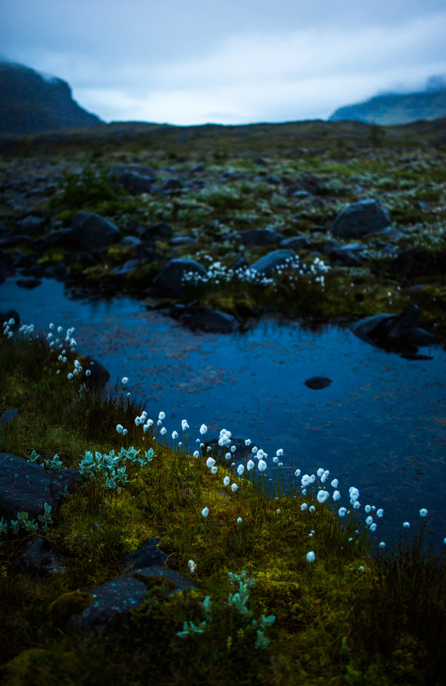 Iceland6931.jpg