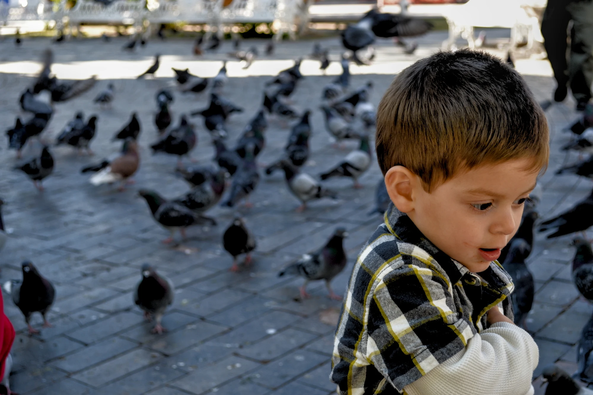 Hermosillo Kid