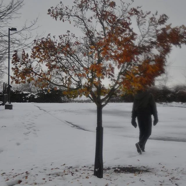 1517193_1509749209325741_983227013_n.jpg