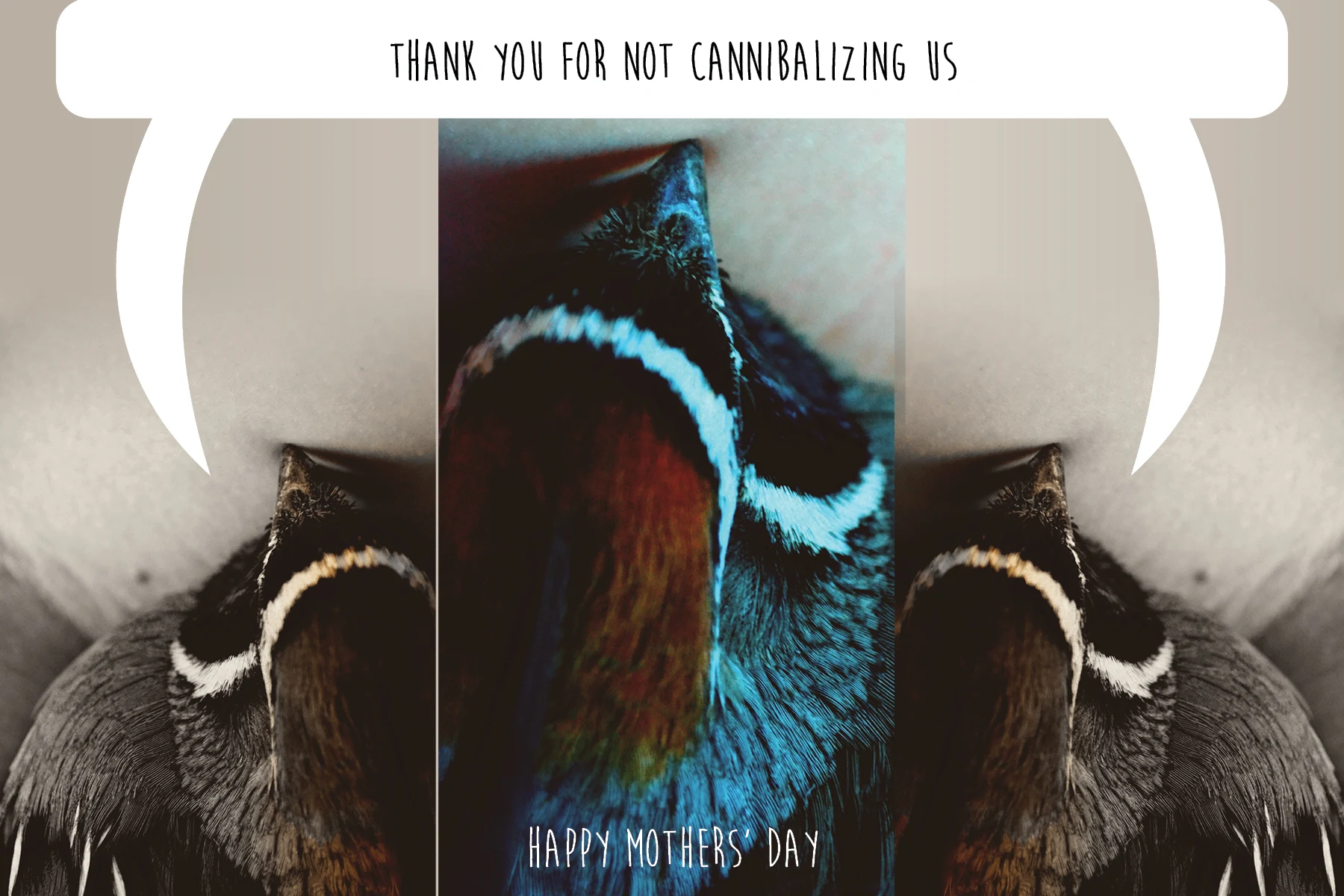 PhotographicGreetingCards-ImogenStraub9.jpg