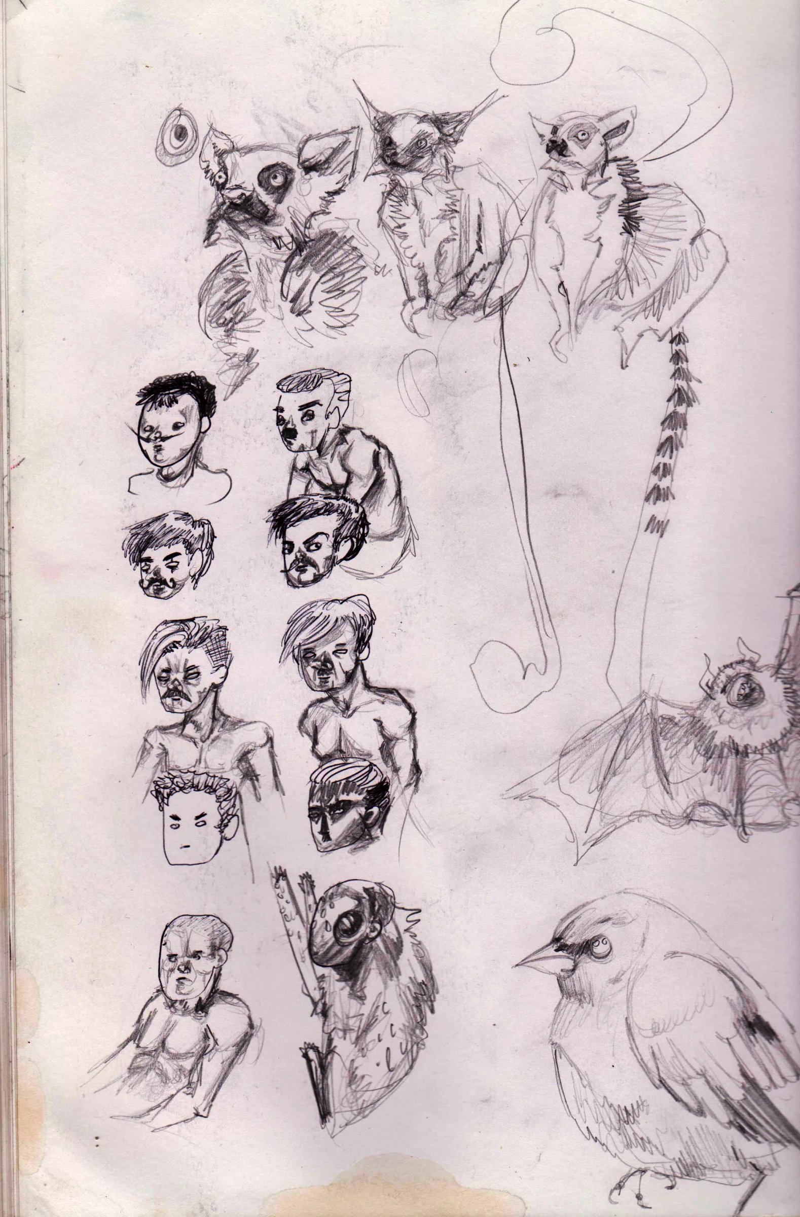 zroughs-lemurs 001.jpg