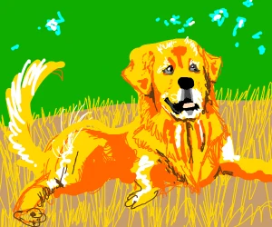 good boy.png