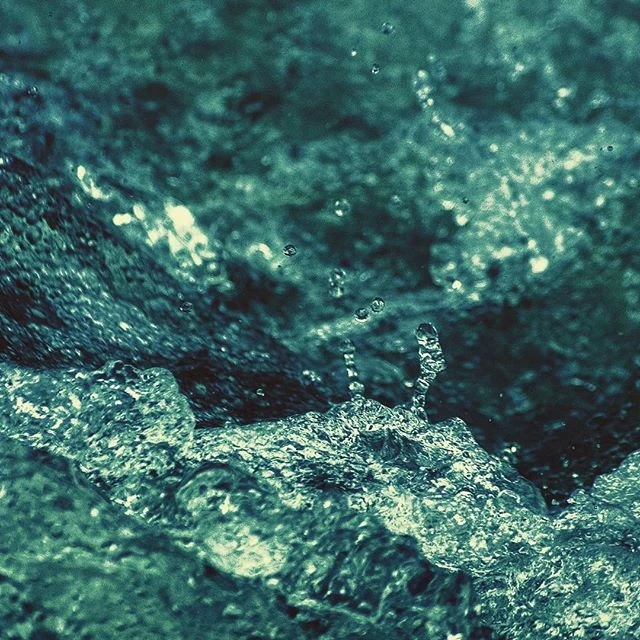12798076_589140834572072_1993492410_n.jpg