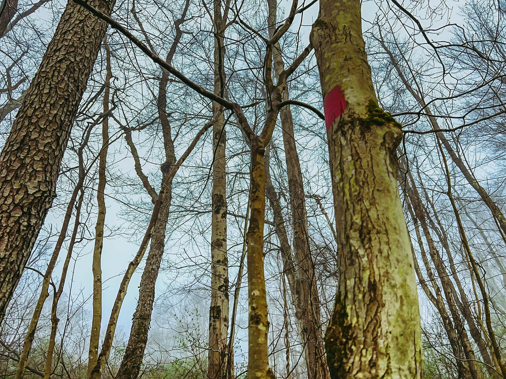 2024-04 April-6-printres-9.jpg