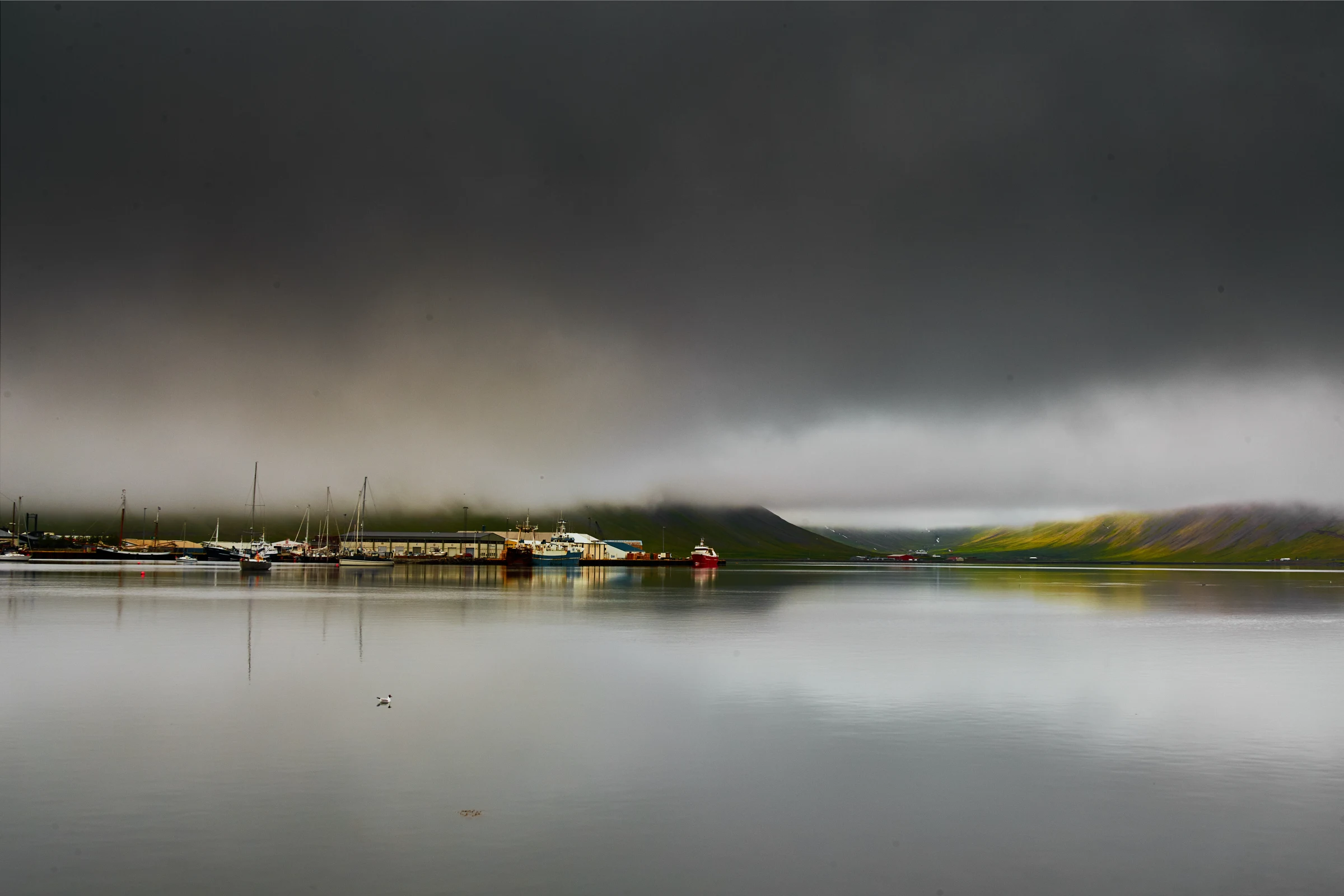 Isafjordur-Muslingur-Iceland_CO10min.jpg