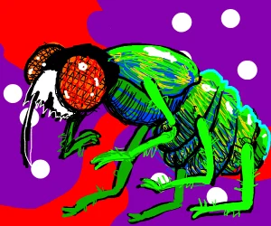 "Fly"