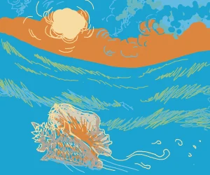 shell in the waves.png