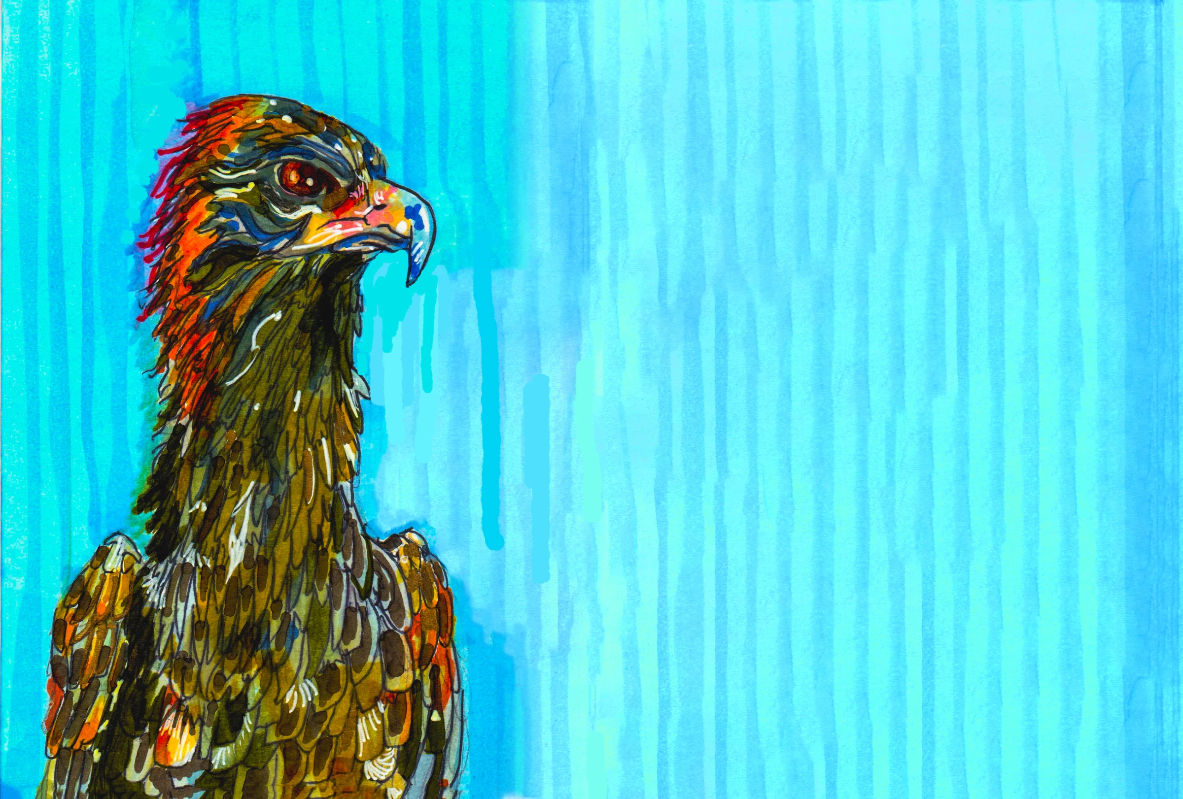 Holiday Card - Pel's Fishing Eagle