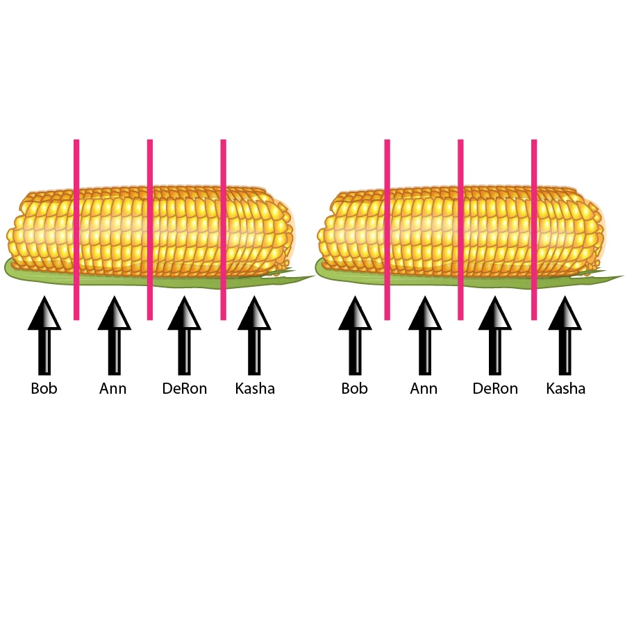Textbook Illustration: Corn Division