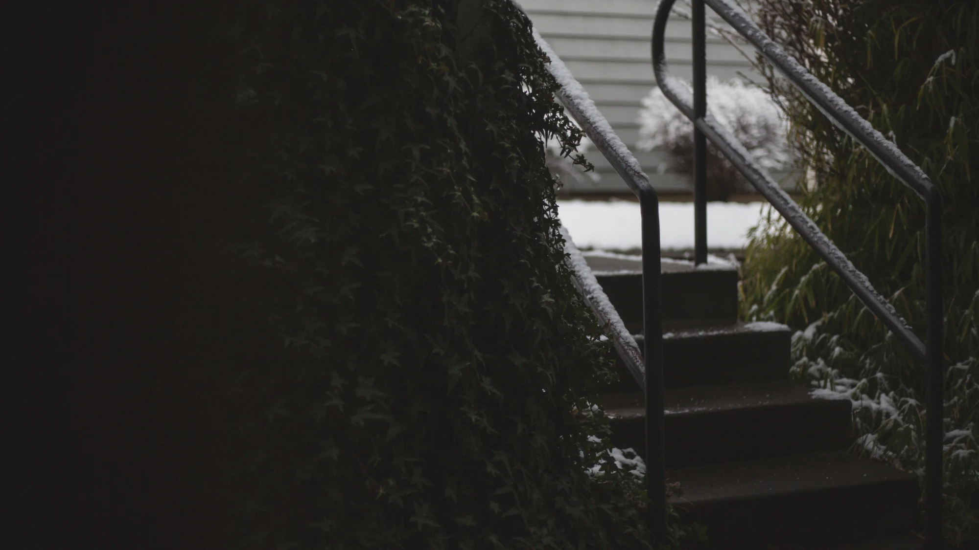 _WL_4138Snowday Feb 22 2017b.jpg