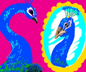 peacock mirror.png