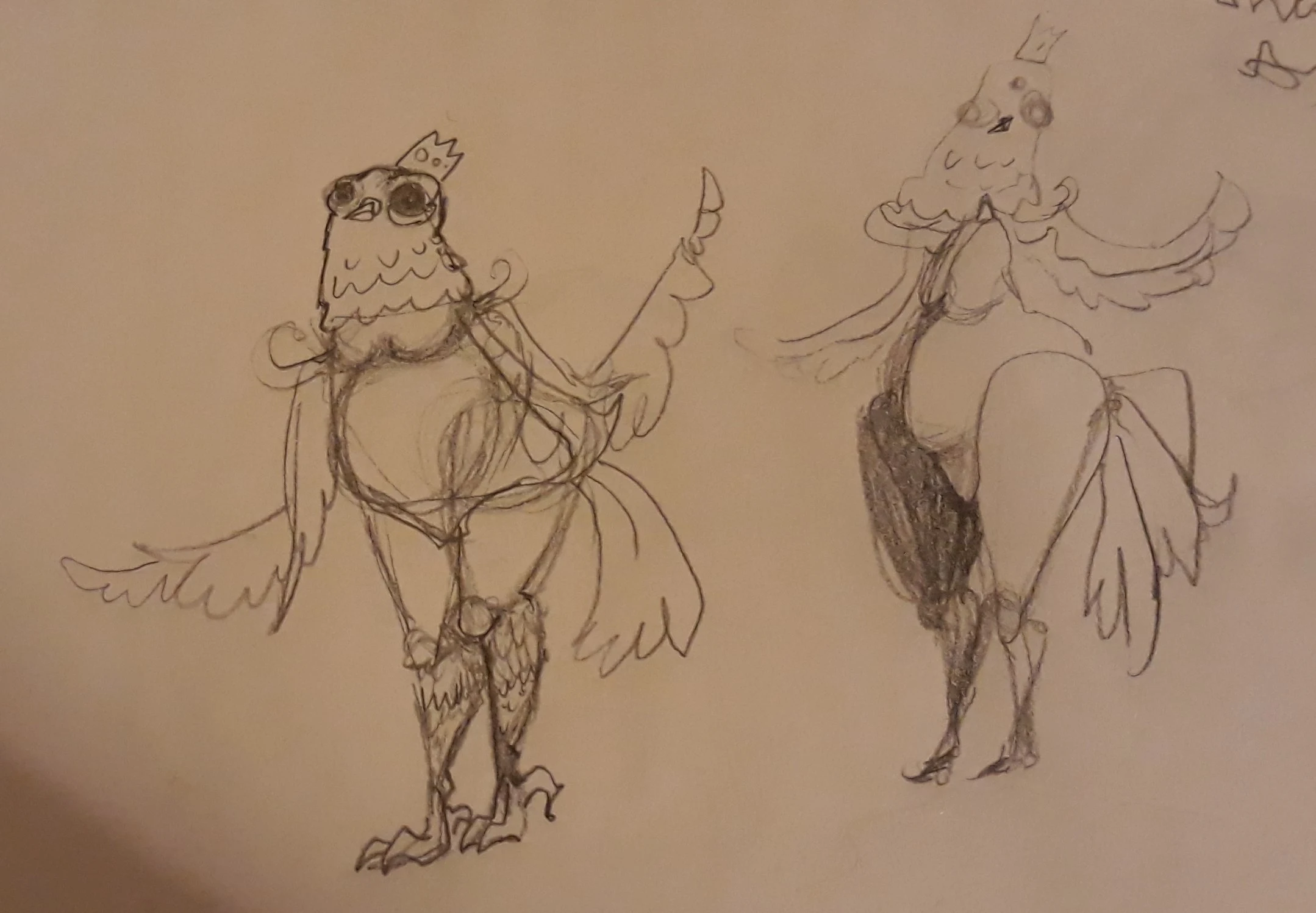 Birdboi concept
