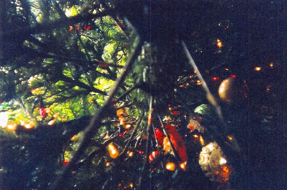 Merry_Christmas.jpg