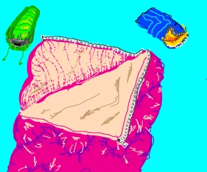 sleeping bags.png
