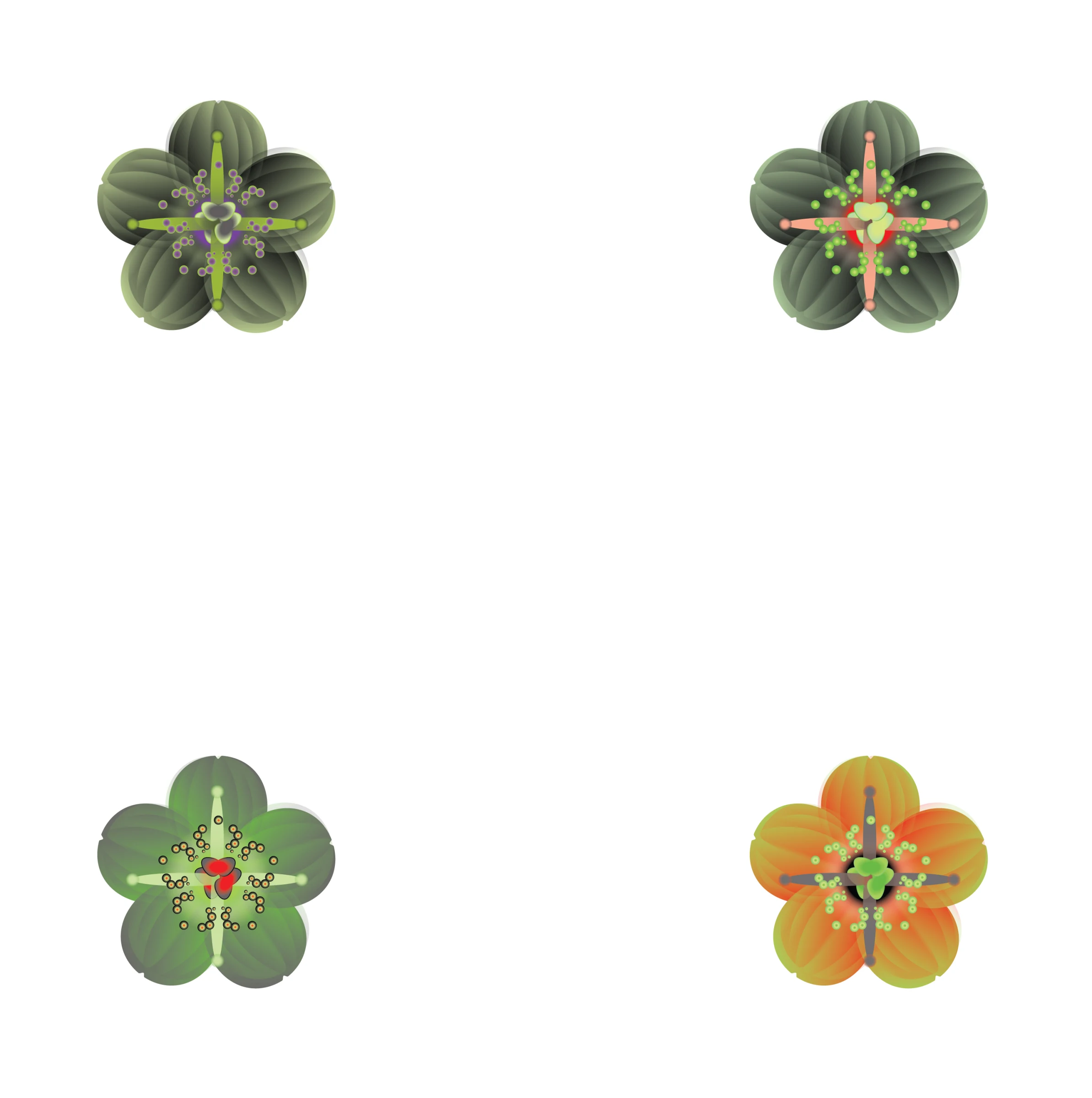 Plants 1.jpg