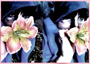 blooms_by_blackbirdlolita_d1ct6ef-250t.jpg