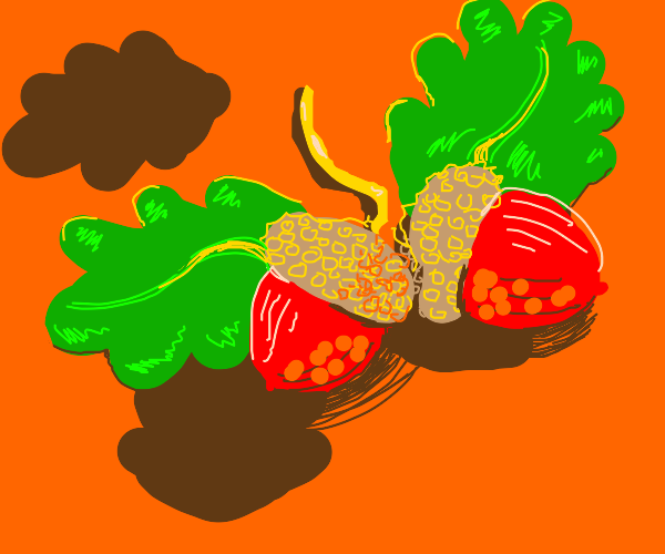 "Acorns on the Ground"