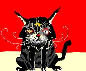 "Cat"