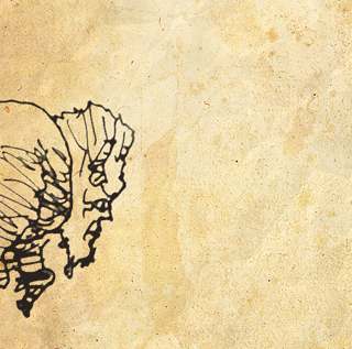 bisonman