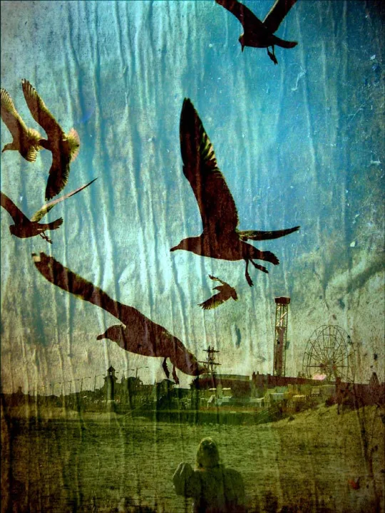 Freedom Collective