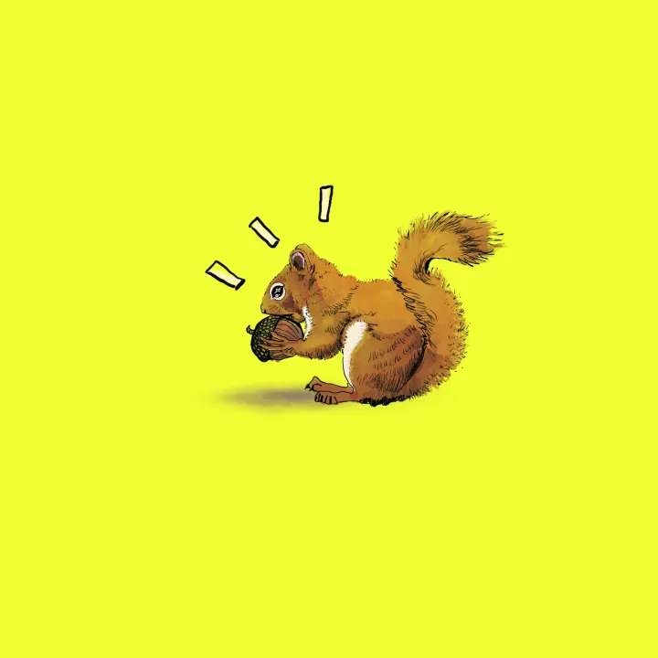 Squirrel - enjoying the nut