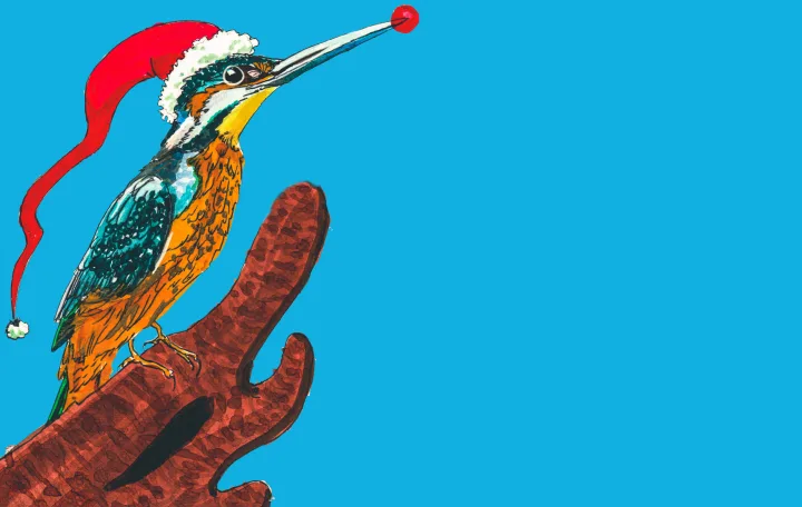 Holiday Card - Dahedihe III