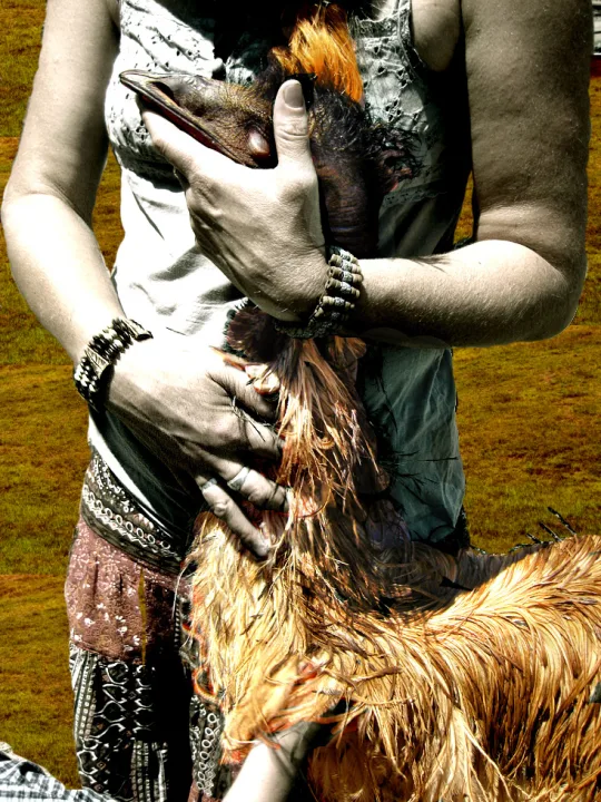 Emu Embrace