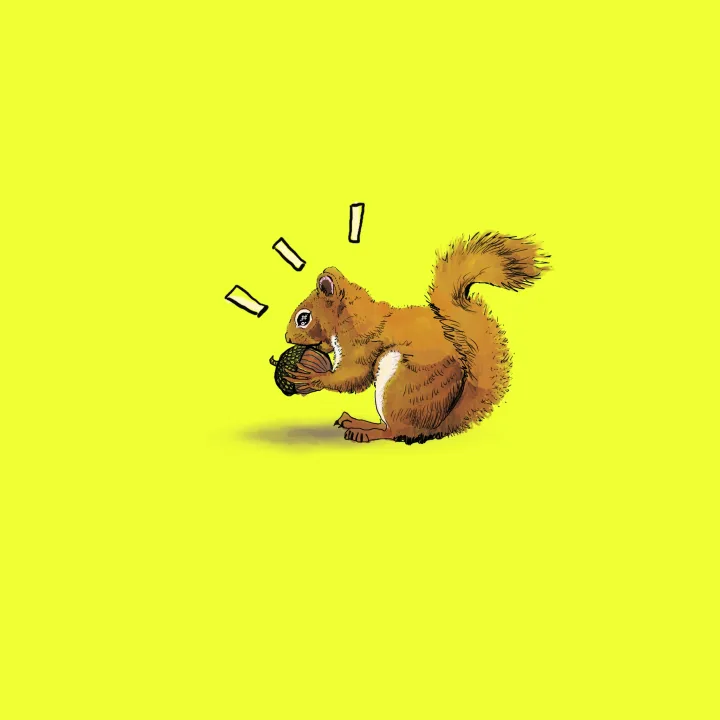 Squirrel - testing the nut