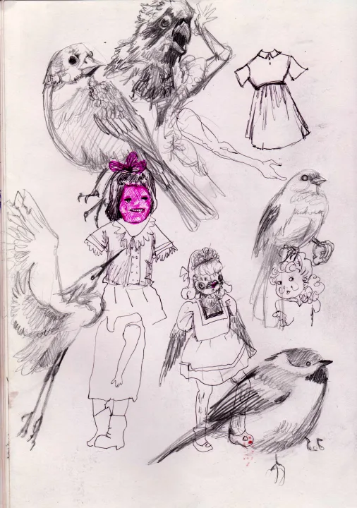 Birds & Burn Victims II