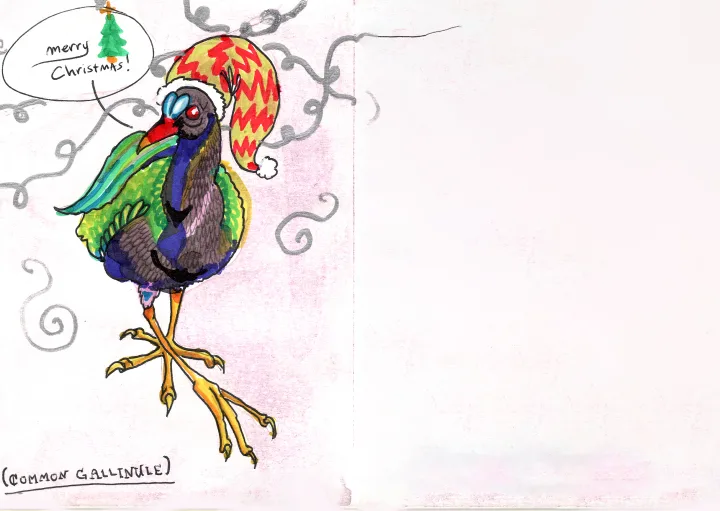 Holiday Card